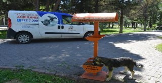 Kocasinan Belediyesi Sosyal Medyanın Gündeminden Düşmüyor