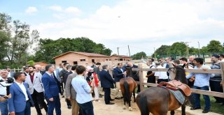 Şekibe İnsel Doğal Yaşam Çiftliği Törenle Açıldı