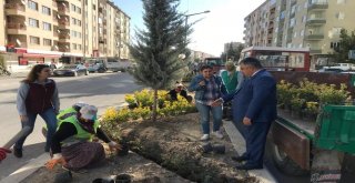 Başkan Özgüven: Çiçek Gibi Bir Ereğli İçin Çalışıyoruz