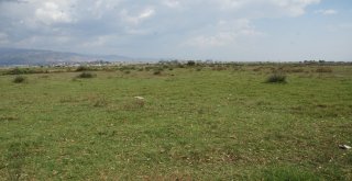 Vali Köşger ‘Serbest Bölge” İçin Yer İncelemesinde Bulundu