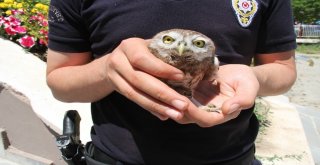 Polis Memurundan Örnek Davranış