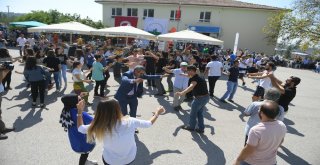 Bursanın En İyi Üzümleri Belli Oldu