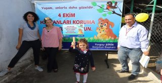 Çocuklar Sevimli Dostlarla Dolu Dolu Bir Gün Geçirdi