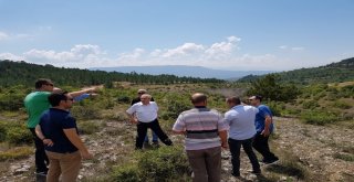 Ceylan Ve Ürkmezer, Cam Teras Çevre Yolu Çalışmalarında İnceleme Yaptı