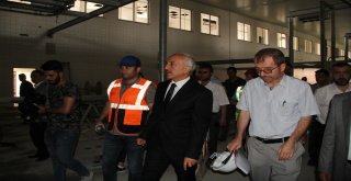 Çoruma Modern Mezbaha