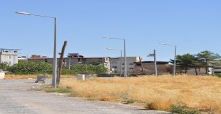 Dicle Elektrikten Tilloya 185 Bin Liralık Yatırım