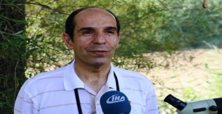 Prof. Dr. Ahmet Kılıç: “Dicle Vadisi Projesi Yeniden Ele Alınmalı”