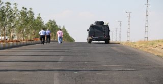 Tırın Ezdiği İki Çocuk Feci Şekilde Can Verdi