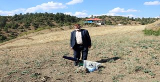 Arılarını Tüp Gazlı Kovucuyla Koruyor