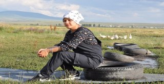 Hayallerini Toprağa Gömdü