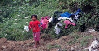 Fındık Toplamaya Gelen Mevsimlik Tarım İşçilerinin Zor Yaşam Şartları