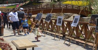 İhadan “15 Temmuz Fotoğraf Sergisi