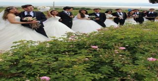 Isparta Belediyesi, Yaz Tatili Döneminde 618 Çiftin Hayatını Birleştirdi