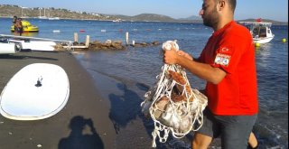 Denizden Çıkanı Gören Turistler Şok Oldu