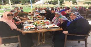 Vezirhan Belediyesinden Kültür Turları
