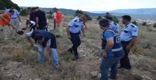 Kargıda 15 Temmuz Şehitleri İçin 250 Fidan Dikildi