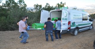 Kayıp Oğlunun Cesedini Ormanda Buldu