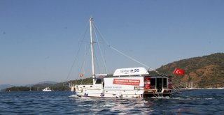 Deniz Market, Teknelerin Hizmetinde