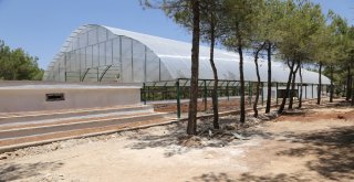 Rengarenk Kelebekler Gaziantepte Uçacak