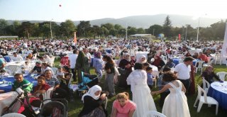 Bursada Sünnet Coşkusu