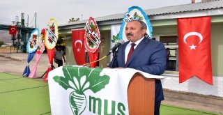 Muşta Pancar Alım Kampanyası Start Aldı