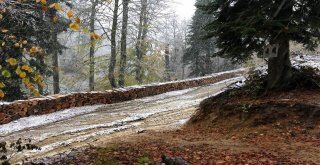 Yenice Ormanlarına İlk Kar Düştü