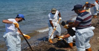 Foçada Deniz Temizliği Devam Ediyor