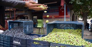 Kiliste Sofralık Zeytin Piyasada