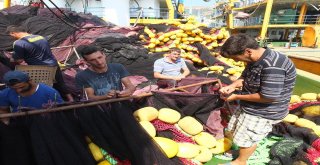 (Özel) Balıkçıların 147 Günlük Yasağında Son Gün