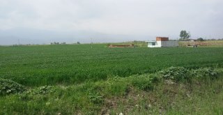 İşyurtlarından Milli Tohumla Üretim Seferberliği