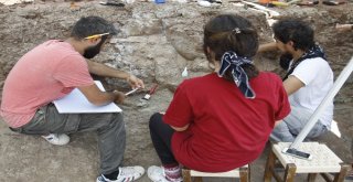 Çankırıda Omurgalı Fosil Kazıları Başladı