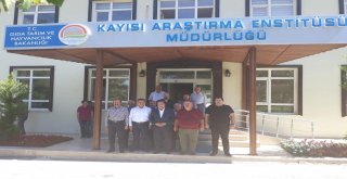 2019 Dünya Kayısı Sempozyumu Malatyada Yapılacak