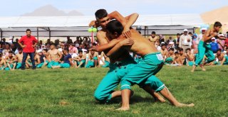 Ulusal Yağlı Güreş Festivali Başladı