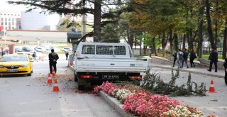 Kontrolden Çıkan Kamyonet Çam Ağacına Çarparak Durabildi