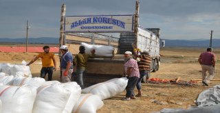 Muşta Saman Sevkıyatı Başladı