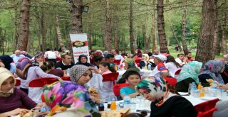 Samsunun Muhtarları Piknikte Buluştu