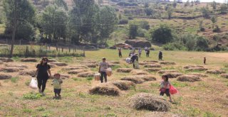 Hakkaride Şehitleri Anma Günü Etkinlikleri