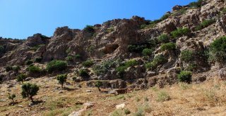 (Özel) Köylülerin Keşfettiği Mağara, Buzdolabı Olarak Kullanılıyor