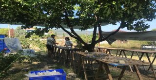 Çeşmenin 4 Bin Yıllık Tarihine Işık Tutacak Kazılar Yeniden Başladı