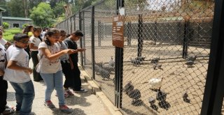 Akdenizde Kültür Gezileri Başladı