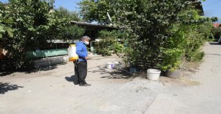 Akyazı Belediyesi Sağlık İşleri Yoğun Tempo Çalışıyor