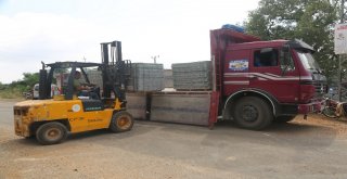 Başkan Tollu, Çalışmaları Yerinde İnceledi