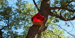 Bursagaz, Hamak Festivaline Renk Kattı