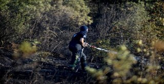 Yerleşim Alanına Yakın Yerde Çıkan Yangın Büyümeden Söndürüldü