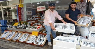 Balıkçı Tezgahlarında Yoğunluk