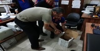 Balaban Kuşuna Afaddan Şefkat Eli