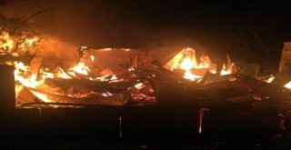 Şilide Huzurevi Yangını: 10 Ölü