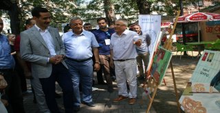 Devrekte Resim Açılan Sergisi Büyük İlgi Gördü