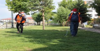 Aziziyede Kapsamlı İlaçlama Çalışması