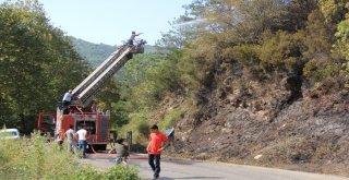 Kastamonuda Çıkan Orman Yangını Helikopter İle Söndürüldü
